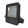 Projecteur Exterieur LED Gris 80W 4000°K