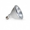AMPOULE LED PAR38 15W 6000K