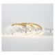 Bandeau LED 4000K 5 m 60 LED/m 9W/m IP20 - 12V