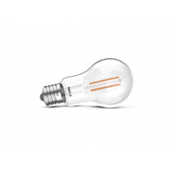 Ampoule LED E27 G45 Filament 4W 2700K