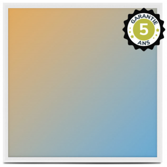 Dalle LED Backlit 595x595 25W Blanc CCT Prismatique - Garantie 5 ans